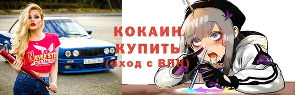 гидра Наволоки