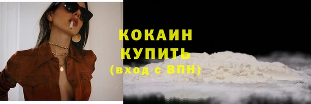 гидра Наволоки