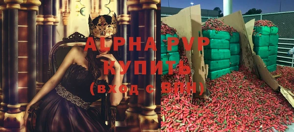 стаф Сосновоборск